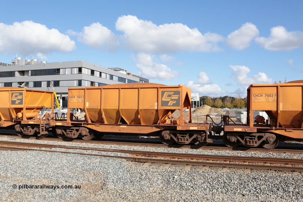 140601 4669
Midland, loaded iron ore train #1030 heading to Kwinana, CFCLA leased CHCH type waggon CHCH 7667 these waggons were rebuilt between 2010 and 2012 by Bluebird Rail Operations SA from former Goldsworthy Mining hopper waggons originally built by Tomlinson WA and Scotts of Ipswich Qld back in the 60's to early 80's. 1st June 2014.
Keywords: CHCH-type;CHCH7667;Bluebird-Rail-Operations-SA;2010/201-67;