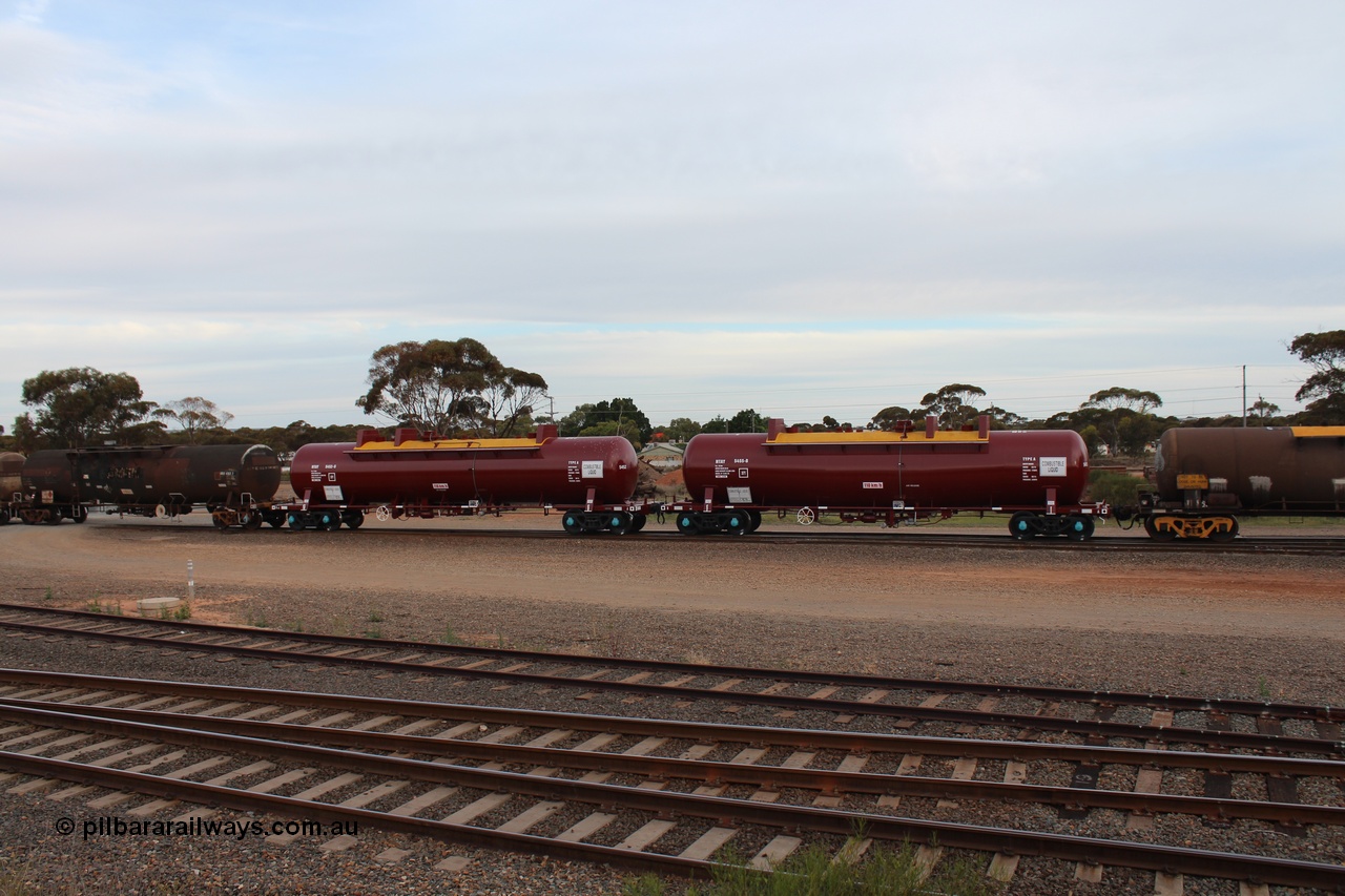 141028 IMG 3268
West Kalgoorlie, NTAY type fuel tank waggon NTAY 5455 with 62,000 litre capacity for BP. Refurbished by Gemco WA in June 2014 from ex Mobil Oil NTAF type tank waggon NTAF 5455. In BP Oil ownership. I think this is an Indeng Qld built NTAF 455 the final of seven such tanks built for Mobil of NSW in 1981. Peter Donaghy image.
Keywords: Peter-D-Image;NTAY-type;NTAY5455;NTAF-type;Indeng-Qld;NTAF455;