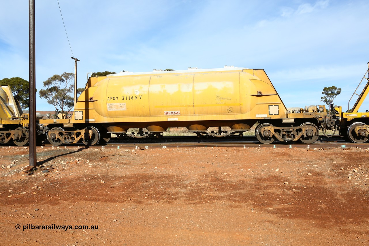160523 2805
Parkeston, APNY 31160, one of twelve built by WAGR Midland Workshops in 1974 as WNA type pneumatic discharge nickel concentrate waggon, WAGR built and owned copies of the AE Goodwin built WN waggons for WMC.
Keywords: APNY-type;APNY31160;WAGR-Midland-WS;WNA-type;