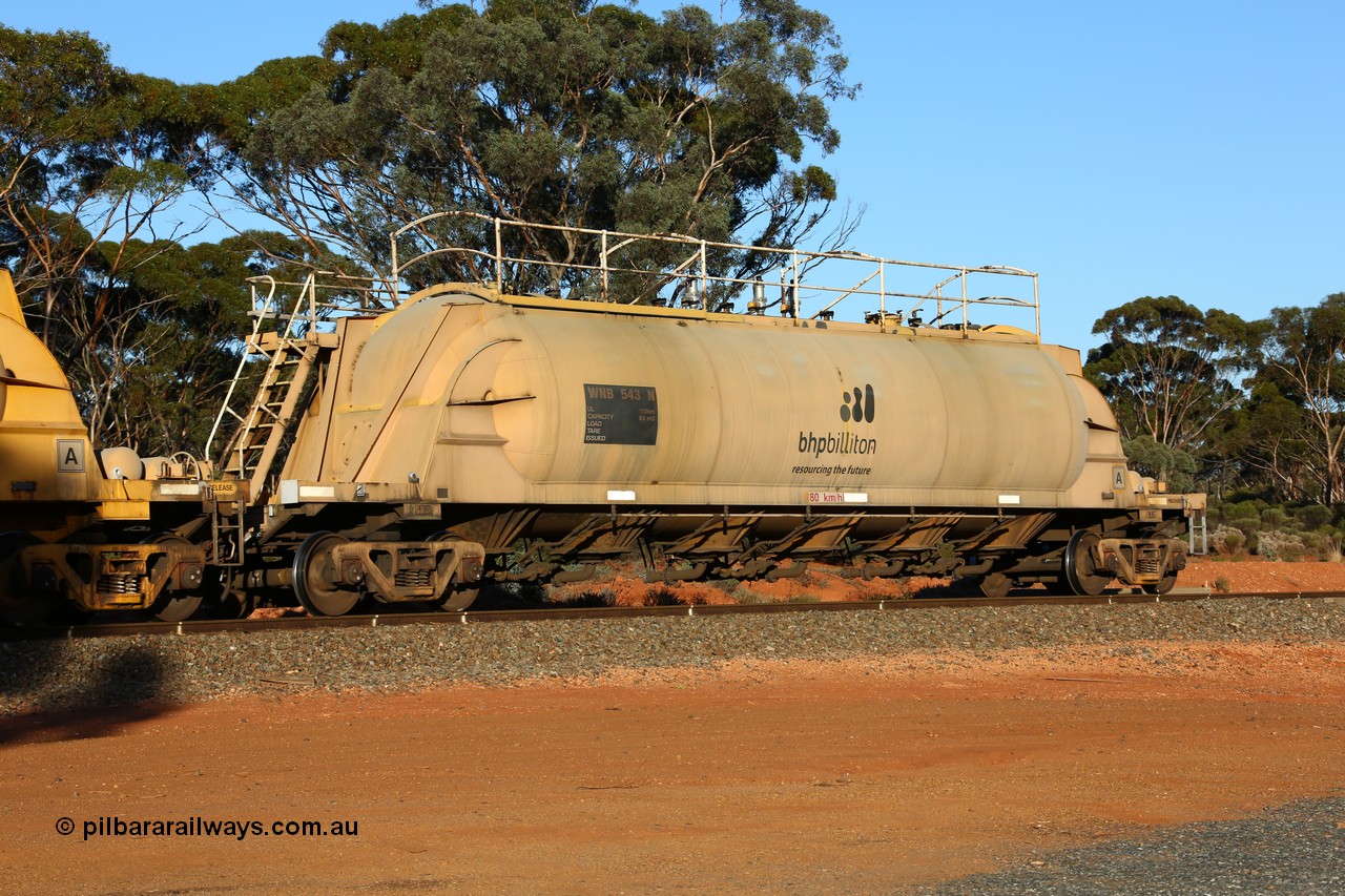 160523 3587
Binduli, nickel concentrate train 2438, WNB type pneumatic discharge nickel concentrate waggon WNB 543, one of six built by Bluebird Rail Services SA in 2010 for BHP Billiton.
Keywords: WNB-type;WNB543;Bluebird-Rail-Operations-SA;