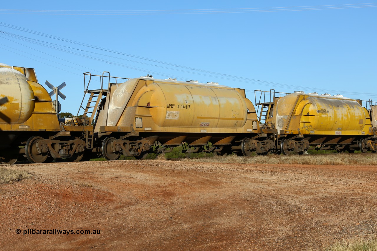 160527 5480
Parkeston, loaded lime and cement shunt train 2C71 from West Kalgoorlie to Parkeston for Cockburn Lime. APNY 31160, one of twelve built by WAGR Midland Workshops in 1974 as WNA type pneumatic discharge nickel concentrate waggon, WAGR built and owned copies of the AE Goodwin built WN waggons for WMC.
Keywords: APNY-type;APNY31160;WAGR-Midland-WS;WNA-type;