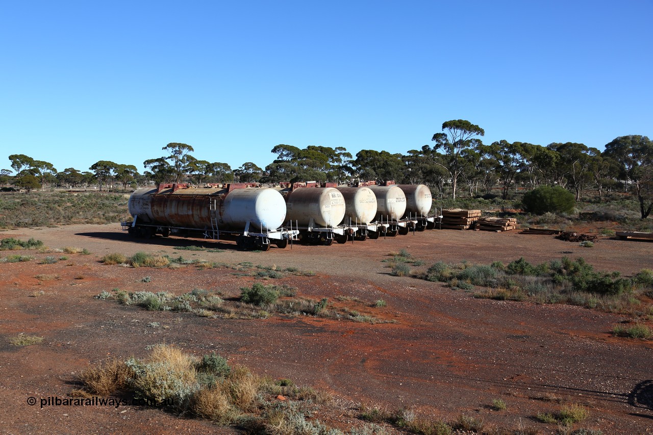 160528 8369
Parkeston, near the quarantine station, stored former Mobil Oil NSW NTAF waggons, from left: NTAF 5454, 5451, 5450, 5453 and 5449. I think these are Indeng Qld built NTAF waggons from a batch of seven such tanks built for Mobil of NSW in 1981 and numbered NTAF 449 to 455.
Keywords: NTAF-type;NTAF5454;NTAF5451;NTAF5450;NTAF5453;NTAF5449;Indeng-Qld;NTAF454;NTAF450;NTAF453;NTAF449;