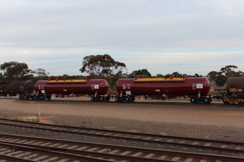 141028 IMG 3269
West Kalgoorlie, NTAY type fuel tank waggon NTAY 5455 with 62,000 litre capacity for BP. Refurbished by Gemco WA in June 2014 from ex Mobil Oil NTAF type tank waggon NTAF 5455. In BP Oil ownership. I think this is an Indeng Qld built NTAF 455 the final of seven such tanks built for Mobil of NSW in 1981. Peter Donaghy image.
Keywords: Peter-D-Image;NTAY-type;NTAY5455;NTAF-type;Indeng-Qld;NTAF455;