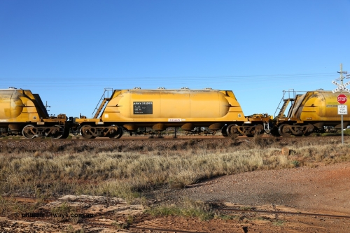 160527 5488
Parkeston, loaded lime and cement shunt train 2C71 from West Kalgoorlie to Parkeston for Cockburn Lime. APNY 31166, one of four built by Westrail Midland Workshops in 1978 as WNA type pneumatic discharge nickel concentrate waggon, WAGR built and owned copies of the AE Goodwin built WN waggons for WMC.
Keywords: APNY-type;APNY31166;Westrail-Midland-WS;WNA-type;