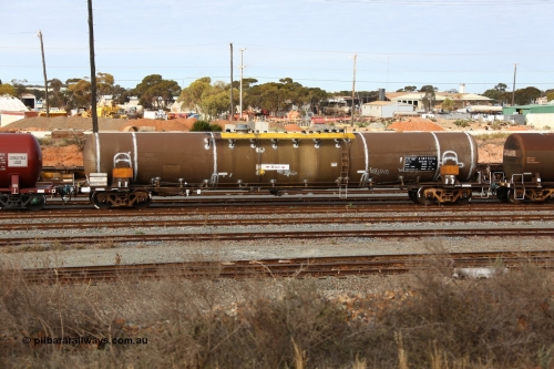 160531 9621
West Kalgoorlie, diesel fuel tanker ATMY 553, built by Tulloch Ltd NSW for BP Oil in 1971 as WJM type, capacity of 102000 litres, diesel capacity of 76000 litres, refurbished by Gemco WA in Oct 2015.
Keywords: ATMY-type;ATMY553;Tulloch-Ltd-NSW;WJM-type;