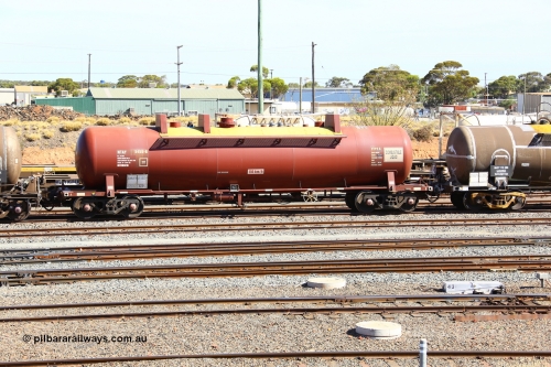 190108 1103
West Kalgoorlie, NTAY type fuel tank waggon NTAY 5455 with 62,000 litre capacity for BP. Refurbished by Gemco WA in June 2014 from ex Mobil Oil NTAF type tank waggon NTAF 5455. In BP Oil ownership. I think this is an Indeng Qld built NTAF 455 the final of seven such tanks built for Mobil of NSW in 1981.
Keywords: NTAY-type;NTAY5455;NTAF-type;Indeng-Qld;NTAF455;
