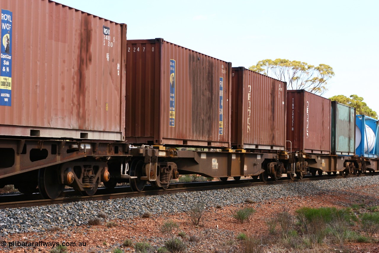 060117 2718
Bardoc, AQNY 32159, one of sixty two waggons built by Goninan WA in 1998 as WQN type for Murrin Murrin container traffic, with two 20' containers Royal Wolf RWTU 2247 and Triton TTNU 248450, train 2029 loaded Malcolm freighter.
Keywords: AQNY-type;AQNY32159;Goninan-WA;WQN-type;