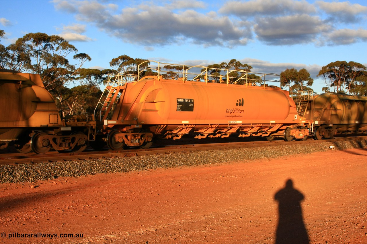 100731 3209
Binduli, WNB 543, pneumatic discharge nickel concentrate waggon, one of six built by Bluebird Rail Services SA in 2010 for BHP Billiton.
Keywords: WNB-type;WNB543;Bluebird-Rail-Operations-SA;