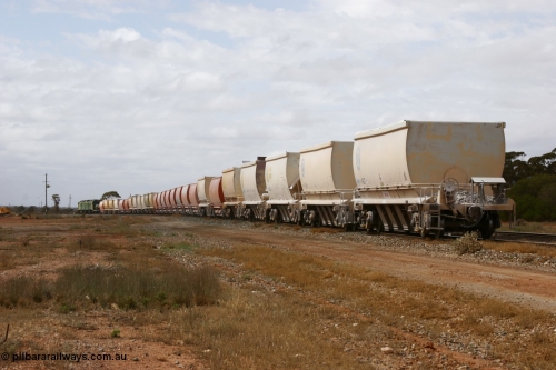 051101 6428
Parkeston, AHQF waggons seen here in Loongana Limestone service, originally built by Goninan WA for Western Quarries as a batch of twenty coded WHA type in 1995. Purchased by Westrail in 1998.
Keywords: AHQF-type;Goninan-WA;WHA-type;