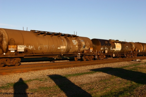 060603 5262 ATPY592P
Midland, ATPY 592 fuel tank waggon built by WAGR Midland Workshops in 1976 as one of four WJP type for AMPOL, capacity of 80500 litres, here in Caltex service.
Keywords: ATPY-type;ATPY592;WAGR-Midland-WS;WJP-type;WJPY-type;
