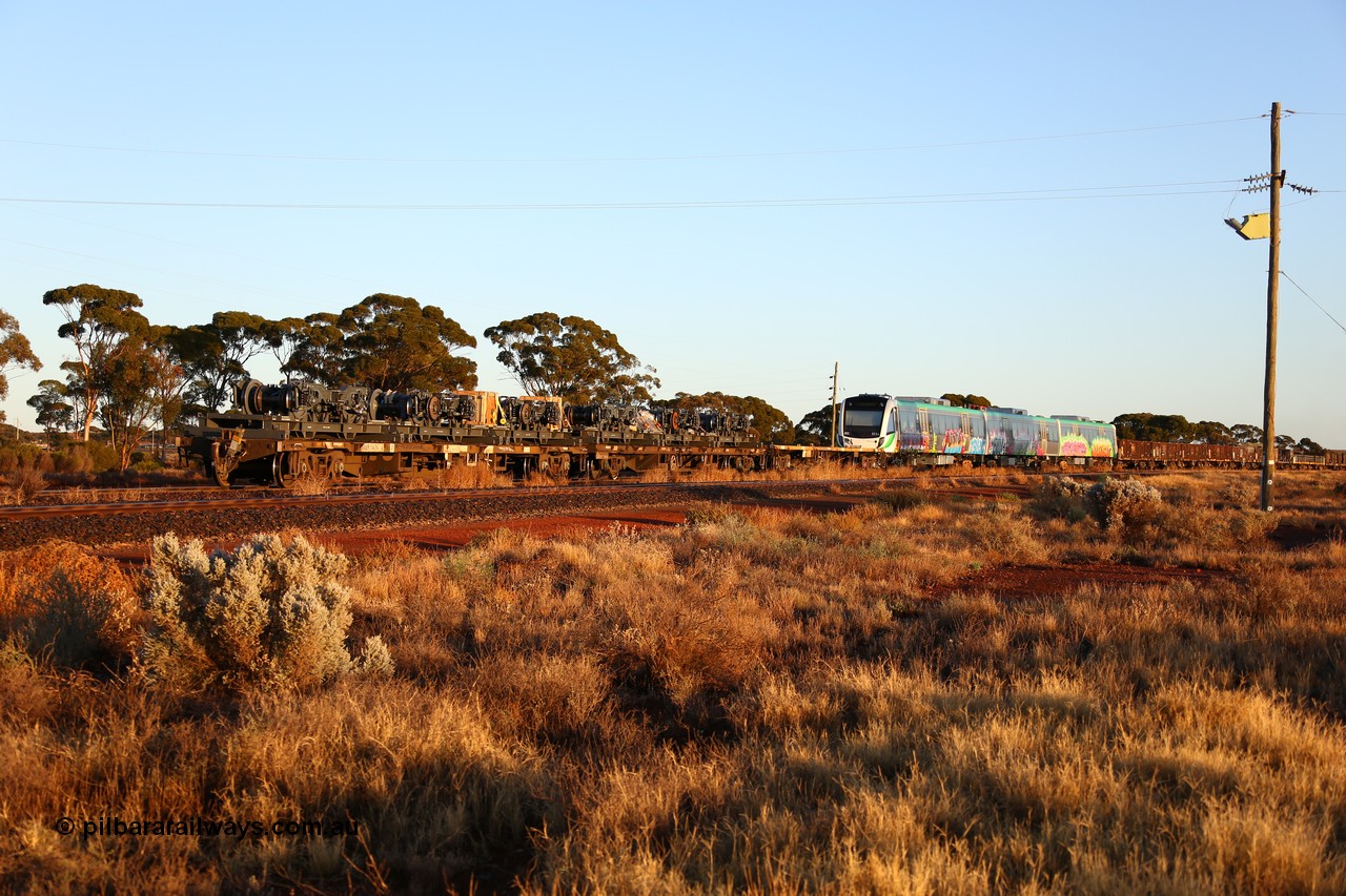 160522 2040
Parkeston, 5MP2 steel train, view from rear looking at NQOY 15056, RQCY 701 and Trans-Perth B Set 116. NQOY type waggon built by Comeng NSW in batch of seventy OCY type container waggons in 1974/75. Recoded to NQOY in 1979-80.
Keywords: NQOY-type;NQOY15056;Comeng-NSW;OCY-type;