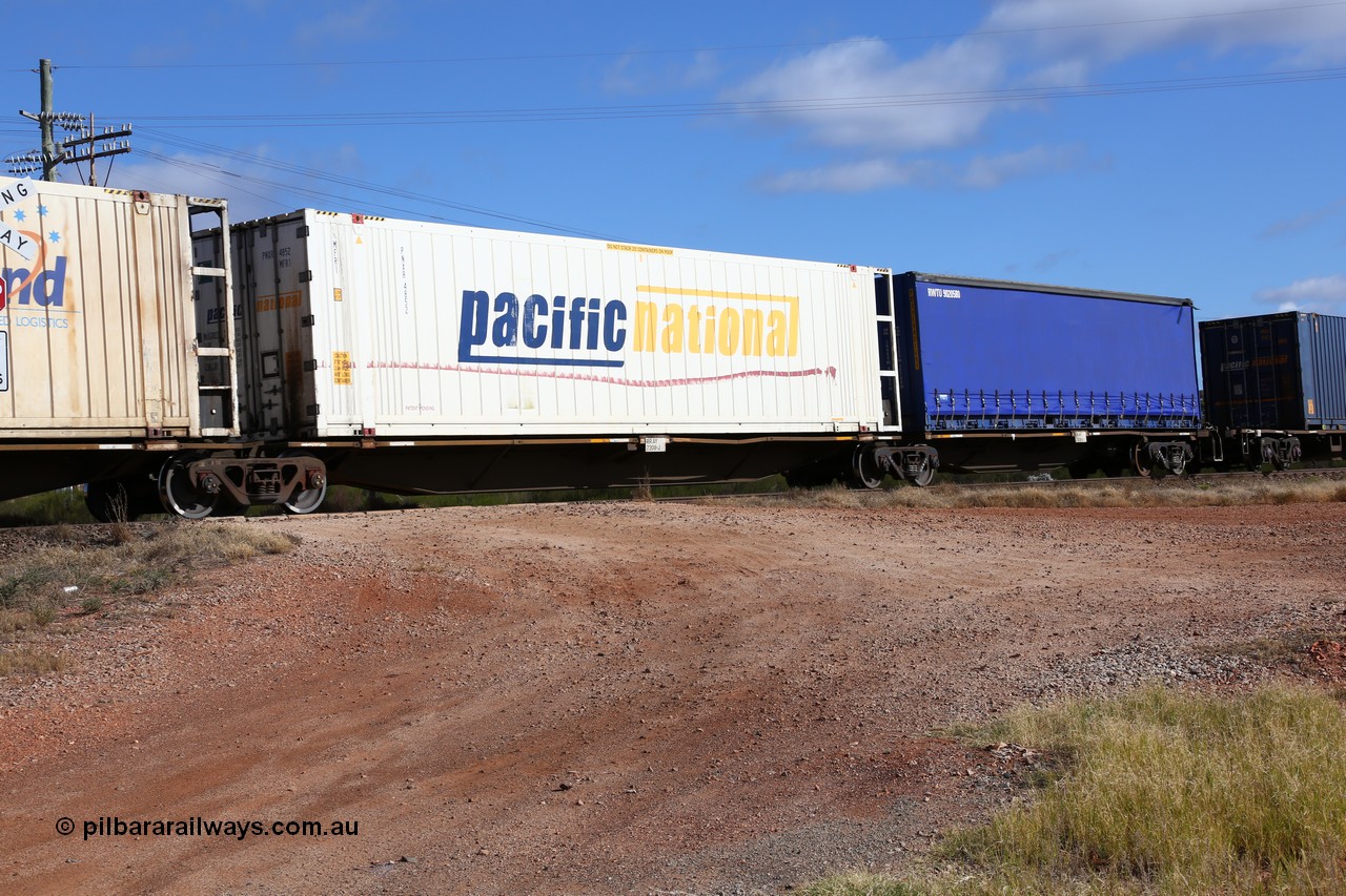 160522 2403
Parkeston, 7MP7 priority service train, RRAY 7208 platform 2 of 5-pack articulated skeletal waggon set, part of one hundred built by ABB Engineering NSW 1996-2000, 48' deck with Pacific National 46' MFR1 type reefer PNXR 4852.
Keywords: RRAY-type;RRAY7208;ABB-Engineering-NSW;