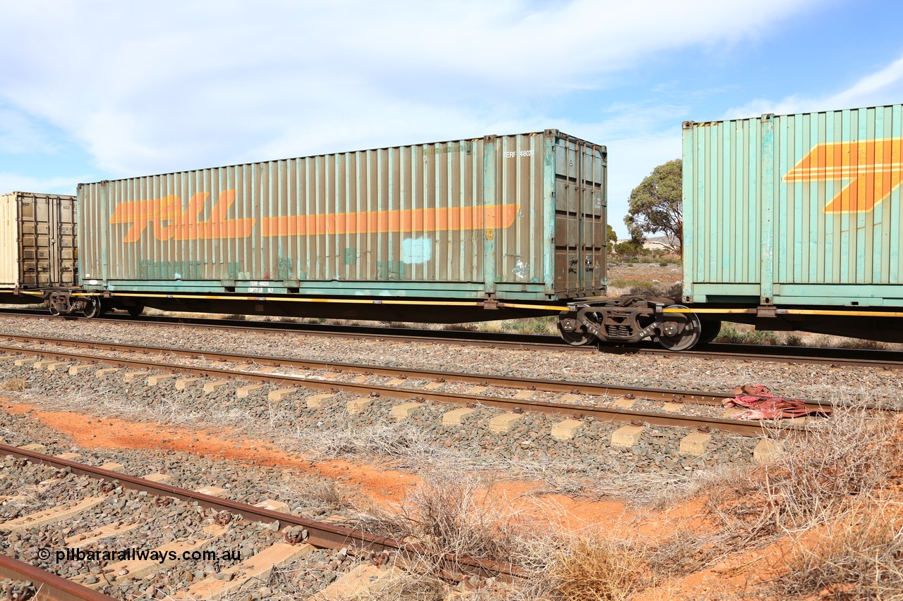 160523 2956
Parkeston, 7SP3 intermodal train, RRYY 34 platform 2 of 5-pack articulated low profile skel waggon set, one of fifty two such sets built by Bradken Rail Braemar from a Williams-Worley design, based on the TNT TRAY type for moving automotive carrying containers, 46' Toll TERF 48024 box.
Keywords: RRYY-type;RRYY34;Williams-Worley;Bradken-NSW;