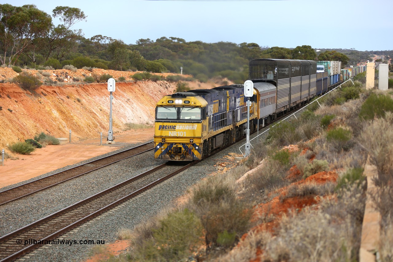 160524 3733
West Kalgoorlie, 2PM6 intermodal train splits the outer home signal posts #4 and #6 as it arrives behind Goninan built GE model Cv40-9i NR class units NR 101 serial 7250-07/97-303 and NR 105 serial 7250-08/97-310, originally built for National Rail now in current owner Pacific National livery.
Keywords: NR-class;NR101;Goninan;GE;Cv40-9i;7250-07/97-303;