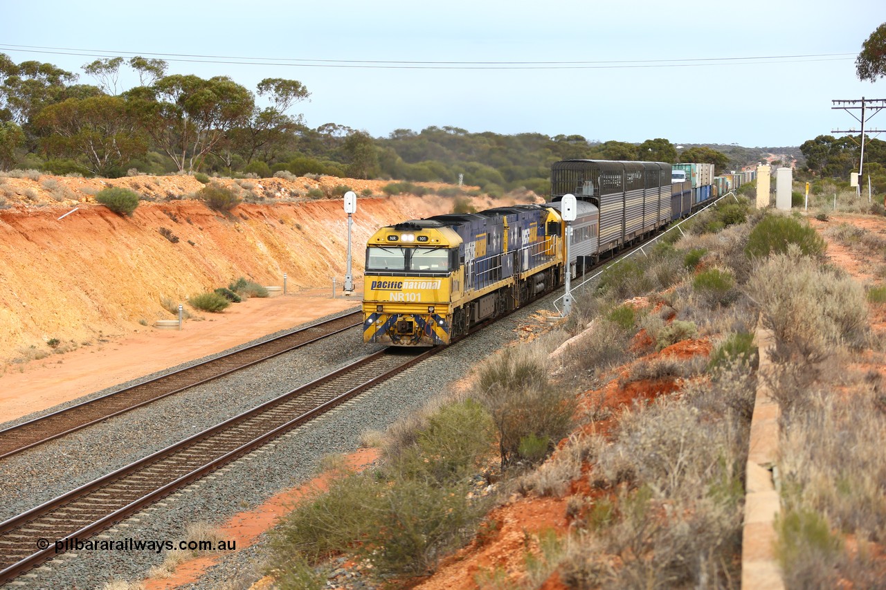 160524 3734
West Kalgoorlie, 2PM6 intermodal train splits the outer home signal posts #4 and #6 as it arrives behind Goninan built GE model Cv40-9i NR class units NR 101 serial 7250-07/97-303 and NR 105 serial 7250-08/97-310, originally built for National Rail now in current owner Pacific National livery.
Keywords: NR-class;NR101;Goninan;GE;Cv40-9i;7250-07/97-303;