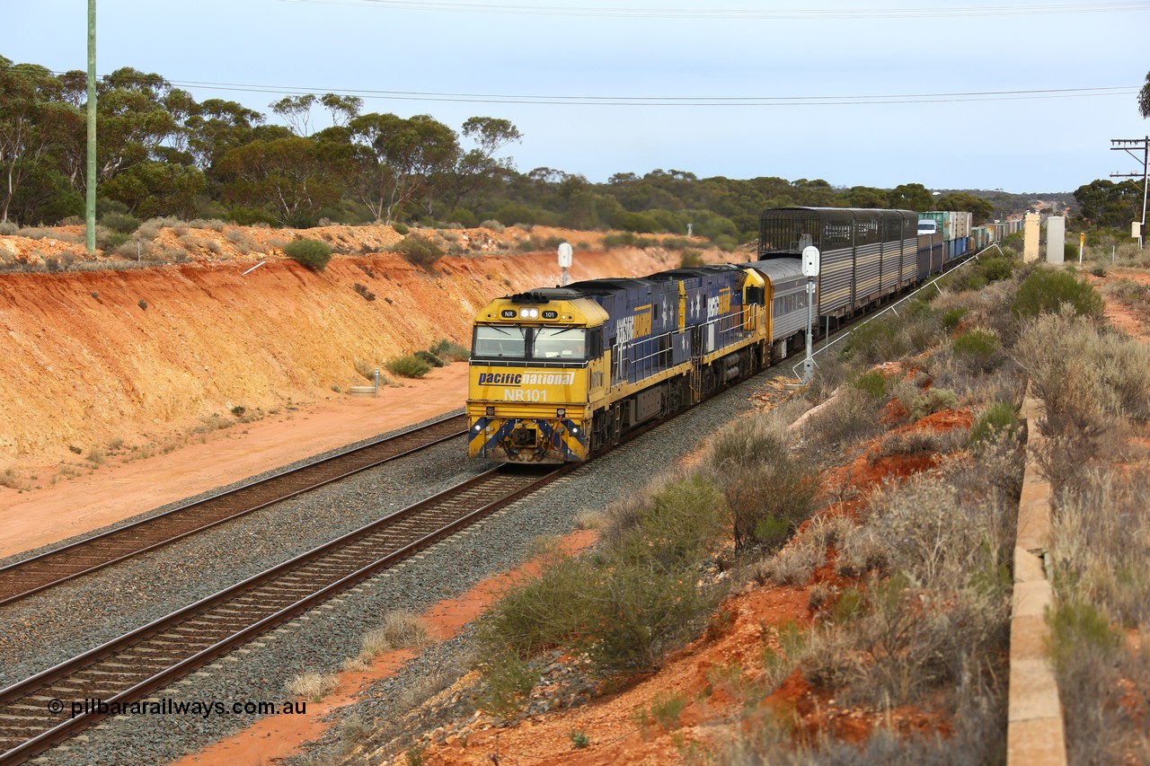 160524 3735
West Kalgoorlie, 2PM6 intermodal train splits the outer home signal posts #4 and #6 as it arrives behind Goninan built GE model Cv40-9i NR class units NR 101 serial 7250-07/97-303 and NR 105 serial 7250-08/97-310, originally built for National Rail now in current owner Pacific National livery.
Keywords: NR-class;NR101;Goninan;GE;Cv40-9i;7250-07/97-303;