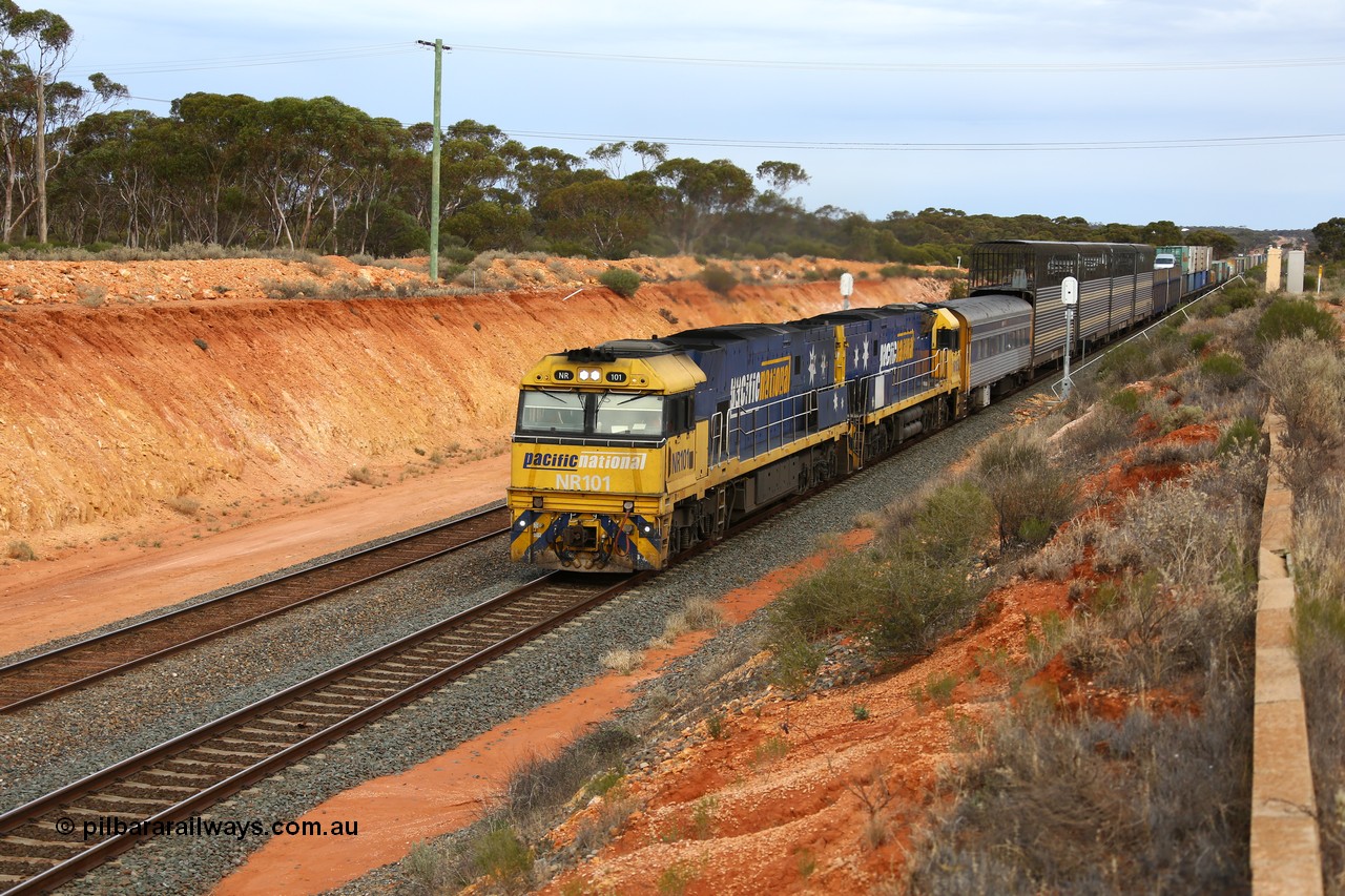 160524 3736
West Kalgoorlie, 2PM6 intermodal train splits the outer home signal posts #4 and #6 as it arrives behind Goninan built GE model Cv40-9i NR class units NR 101 serial 7250-07/97-303 and NR 105 serial 7250-08/97-310, originally built for National Rail now in current owner Pacific National livery.
Keywords: NR-class;NR101;Goninan;GE;Cv40-9i;7250-07/97-303;