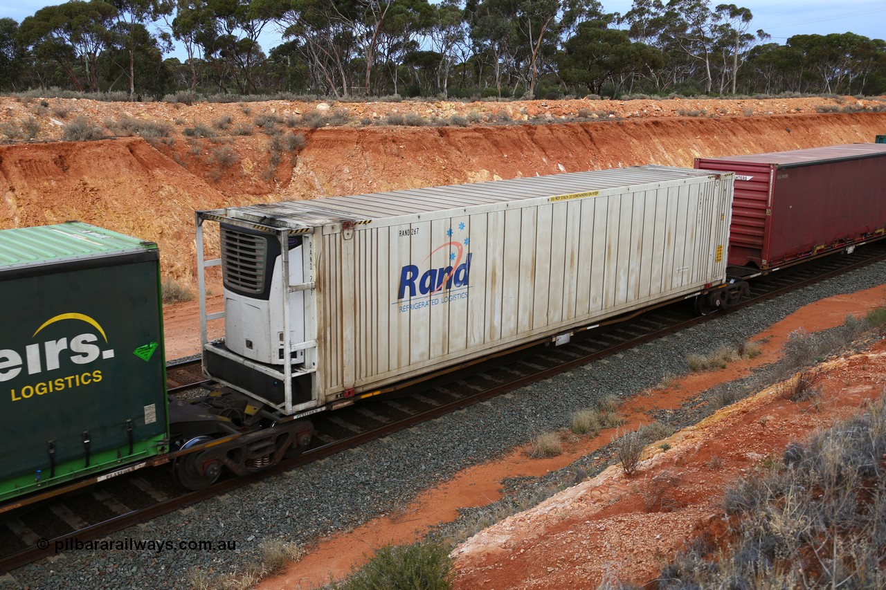 160524 3766
West Kalgoorlie, 2PM6 intermodal train, RRAY 7232 platform 3 of 5-pack articulated skel waggon set, one of 100 built by ABB Engineering NSW 1996-2000, with a 46' RAND Refrigerated Logistic reefer RAND 267.
Keywords: RRAY-type;RRAY7232;ABB-Engineering-NSW;