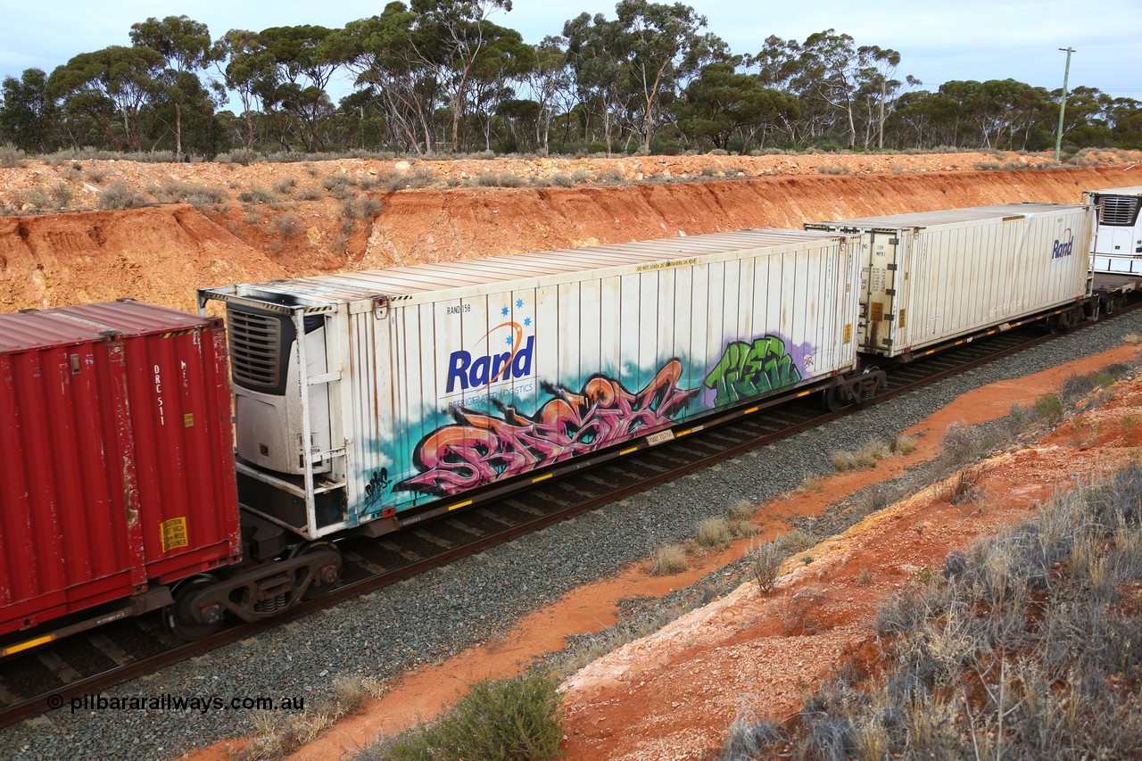 160524 3772
West Kalgoorlie, 2PM6 intermodal train, RQQY 7076 platform 2 of 5-pack articulated skel waggon set, 1 of 17 built by Qld Rail at Ipswich Workshops in 1995, 46' RAND Refrigerated Logistics reefer RAND 158.
Keywords: RQQY-type;RQQY7076;Qld-Rail-Ipswich-WS;