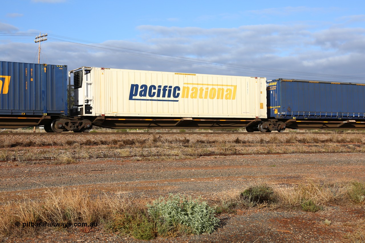 160525 4442
Parkeston, 3PM7 priority service train, RQQY 7077 platform 2 of 5-pack articulated skel waggon set, 1 of 17 built by Qld Rail at Ipswich Workshops in 1995, 46' Pacific National reefer PNXR 4901.
Keywords: RQQY-type;RQQY7077;Qld-Rail-Ipswich-WS;