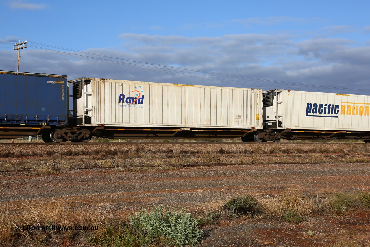 160525 4444
Parkeston, 3PM7 priority service train, RQQY 7077 platform 4 of 5-pack articulated skel waggon set, 1 of 17 built by Qld Rail at Ipswich Workshops in 1995, 46' RAND Refrigerated Logistics reefer RAND 245.
Keywords: RQQY-type;RQQY7077;Qld-Rail-Ipswich-WS;