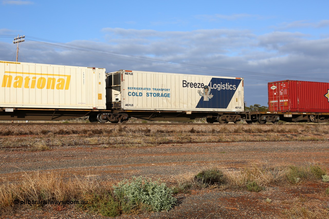 160525 4464
Parkeston, 3PM7 priority service train, RRAY 7243 platform 1 of 5-pack articulated skel waggon set, one of 100 built by ABB Engineering NSW 1996-2000, 40' deck with a 40' PLUS Breeze Logistics reefer BRZC 7.
Keywords: RRAY-type;RRAY7243;ABB-Engineering-NSW;