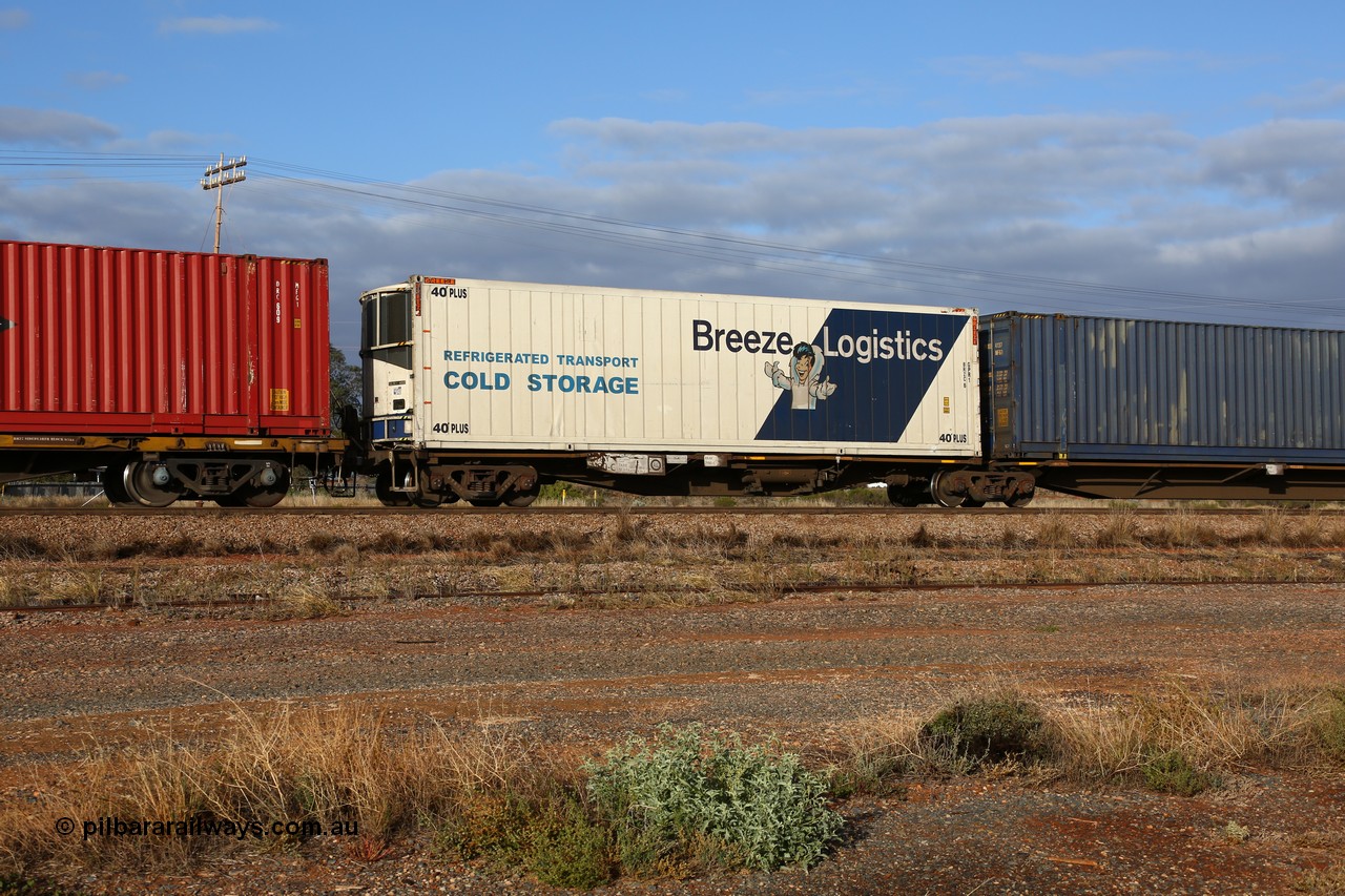 160525 4466
Parkeston, 3PM7 priority service train, RRAY 7190 platform 5 of 5-pack articulated skel waggon set, one of 100 built by ABB Engineering NSW 1996-2000, 40' deck with a 40' PLUS Breeze Logistics reefer BRZC 6.
Keywords: RRAY-type;RRAY7190;ABB-Engineering-NSW;