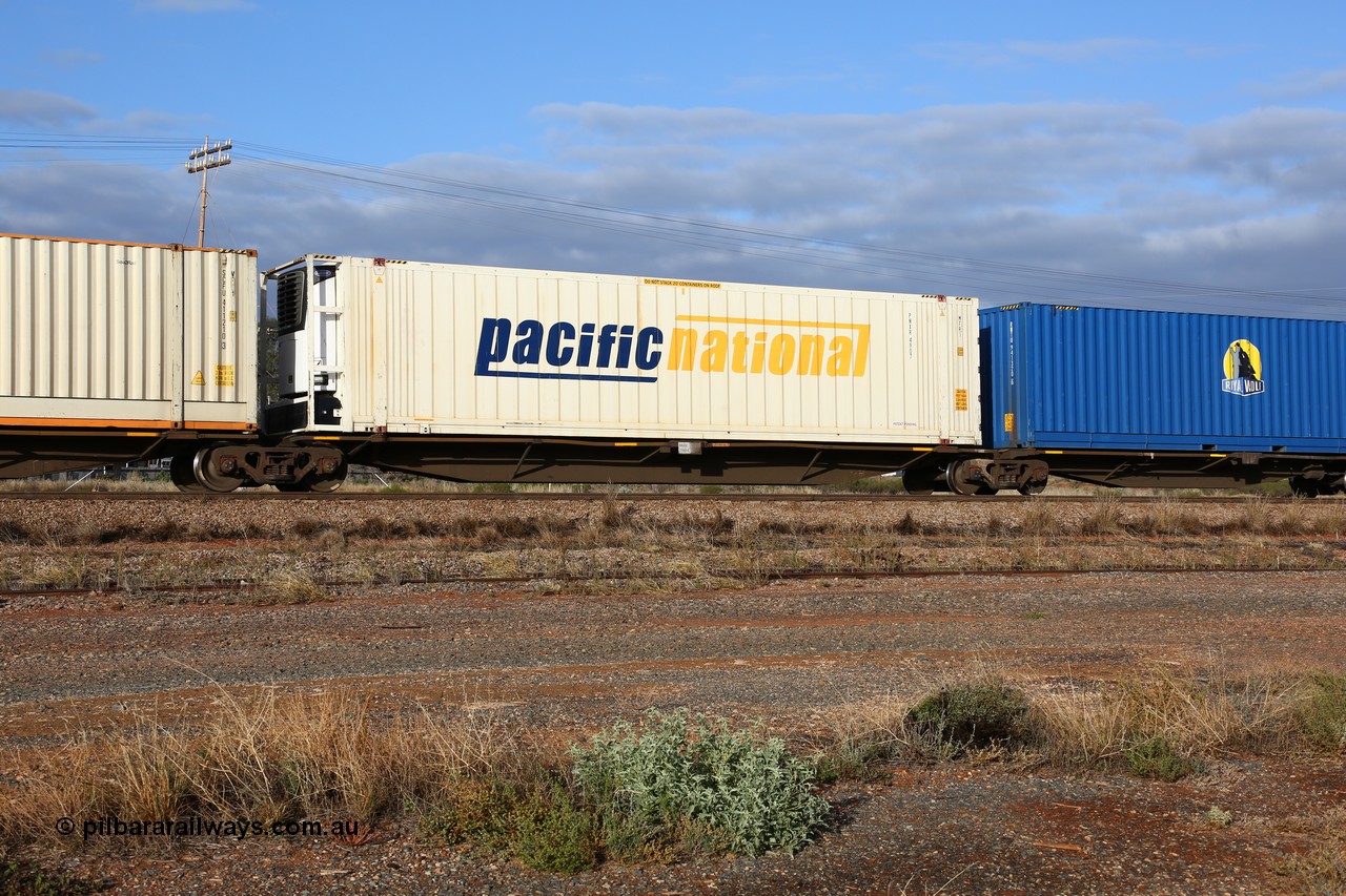 160525 4469
Parkeston, 3PM7 priority service train, RRAY 7190 platform 2 of 5-pack articulated skel waggon set, one of 100 built by ABB Engineering NSW 1996-2000, 48' deck with Pacific National 46' reefer PNXR 4907.
Keywords: RRAY-type;RRAY7190;ABB-Engineering-NSW;