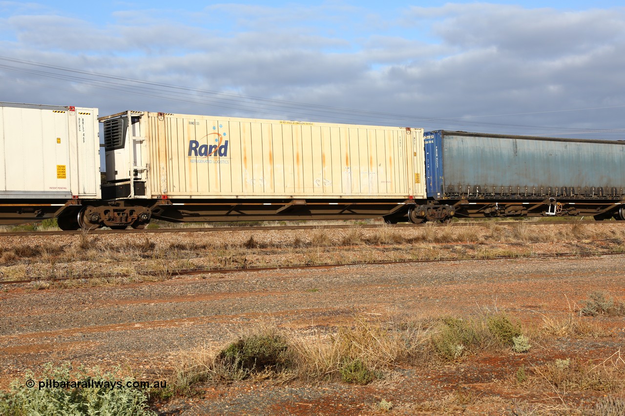 160525 4541
Parkeston, 3PM7 priority service train, RRQY 7330 platform 2 of 5-pack articulated skel waggon, one of sixteen sets built by Qiqihar Rollingstock Works China in 2005, 48' deck with a RAND Refrigerated Logistics 46' reefer RAND 133.
Keywords: RRQY-type;RRQY7330;Qiqihar-Rollingstock-Works-China;