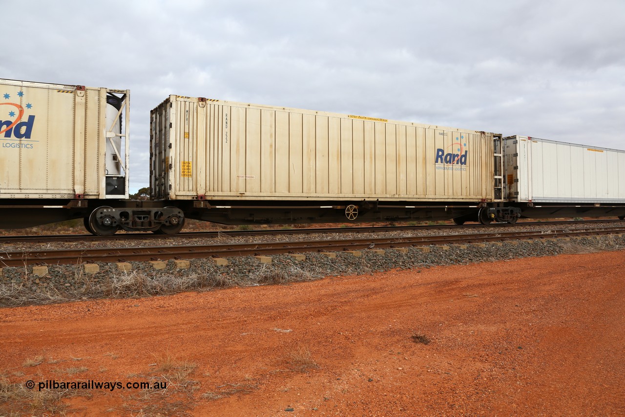 160529 8775
Parkeston, 6MP4 intermodal train, RRQY 7324 platform 3 of 5-pack articulated skel waggon set built by Qiqihar Rollingstock Works China in 2005 in a batch of twenty nine for Pacific National with a Rand Refrigerated Logistics 46' MFR1 type reefer RAND 222.
Keywords: RRQY-type;RRQY7324;Qiqihar-Rollingstock-Works-China;