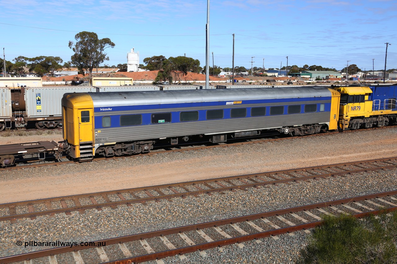 160531 9894
West Kalgoorlie, 1MP2 steel train crew accommodation coach RZDY 100 'MOPOKE', started life as a Bluebird railcar driving trailer built by South Australian Railways Islington Workshops in 1955 as Mopoke. In 1986 coded 100, then to 107, in 2001 renumbered 100 and named 'Cabernet'. Converted to crew car for Pacific National as RZDY in 2006 at Islington workshops.
Keywords: RZDY-class;RZDY100;SAR-Islington-WA;Mopoke;Cabernet;