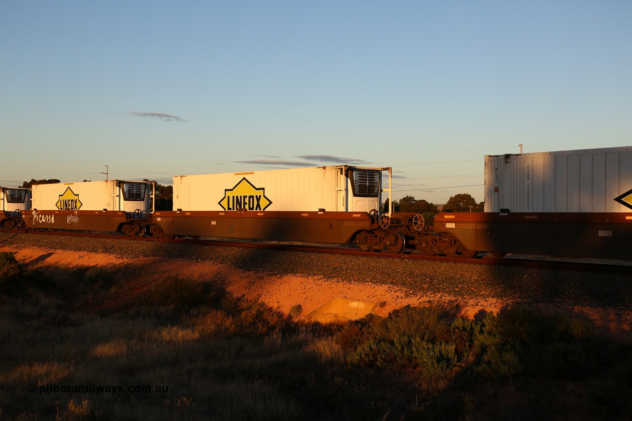 160601 10102
West Kalgoorlie, 2MP5 intermodal train, platform 4 of 5-pack RRRY 7011 well waggon set, one of nineteen built in China at Zhuzhou Rolling Stock Works for Goninan in 2005, Linfox 46' reefer FCAD 910610.
Keywords: RRRY-type;RRRY7011;CSR-Zhuzhou-Rolling-Stock-Works-China;