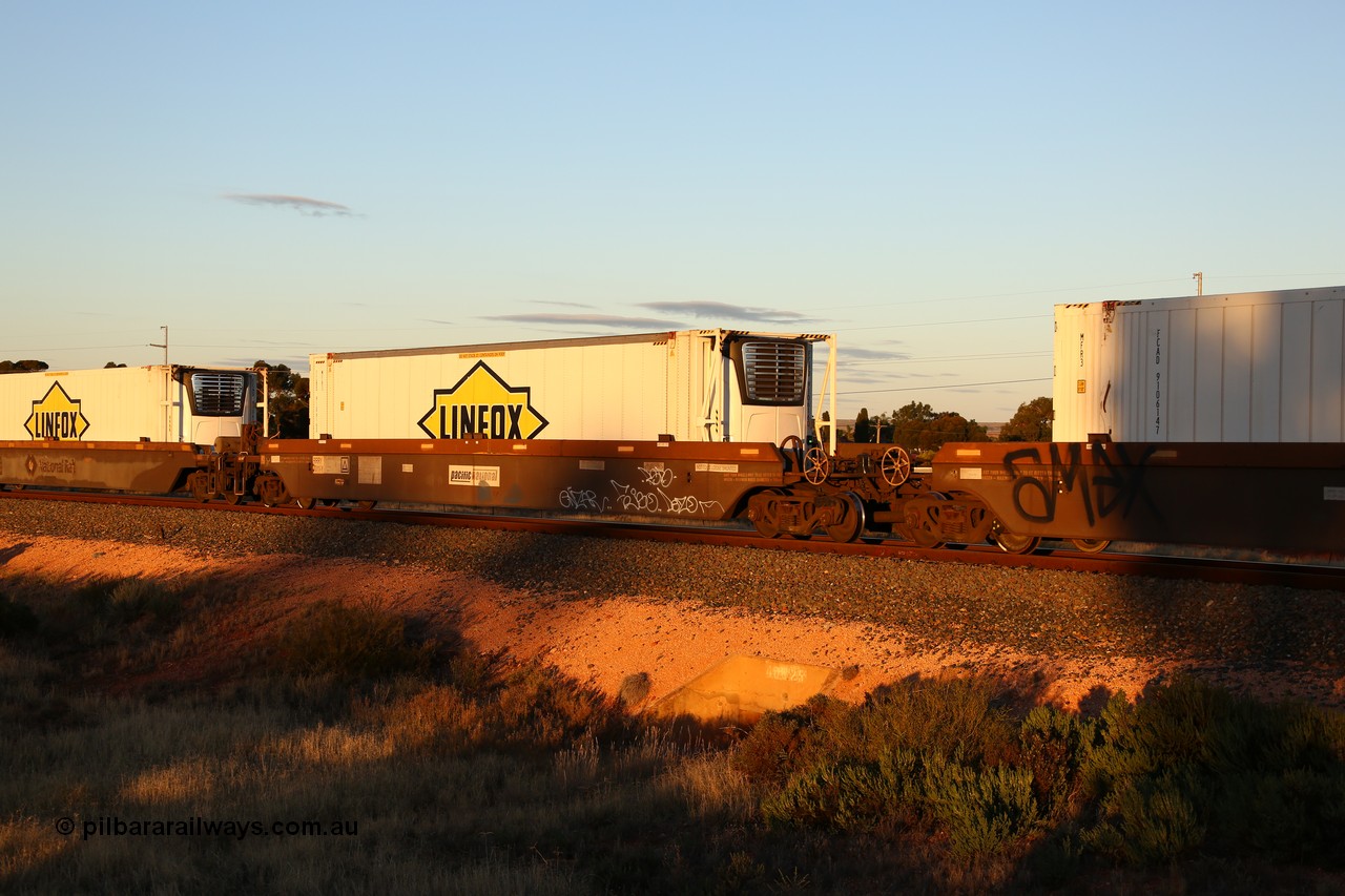 160601 10105
West Kalgoorlie, 2MP5 intermodal train, platform 1 of 5-pack RRRY 7011 well waggon set, one of nineteen built in China at Zhuzhou Rolling Stock Works for Goninan in 2005, Linfox 46' reefer FCBD 910616.
Keywords: RRRY-type;RRRY7011;CSR-Zhuzhou-Rolling-Stock-Works-China;