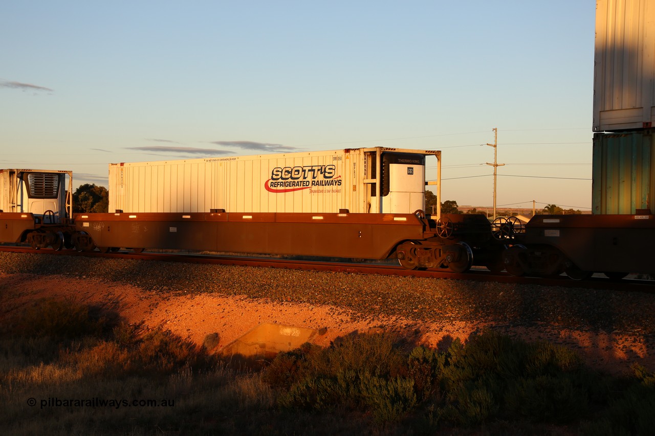 160601 10122
West Kalgoorlie, 2MP5 intermodal train, platform 4 of 5-pack RRRY 7008 well waggon set, one of nineteen built in China at Zhuzhou Rolling Stock Works for Goninan in 2005, Scott's Refrigerated Railways 46' reefer SRR 050, from the Thermo King end.
Keywords: RRRY-type;RRRY7008;CSR-Zhuzhou-Rolling-Stock-Works-China;