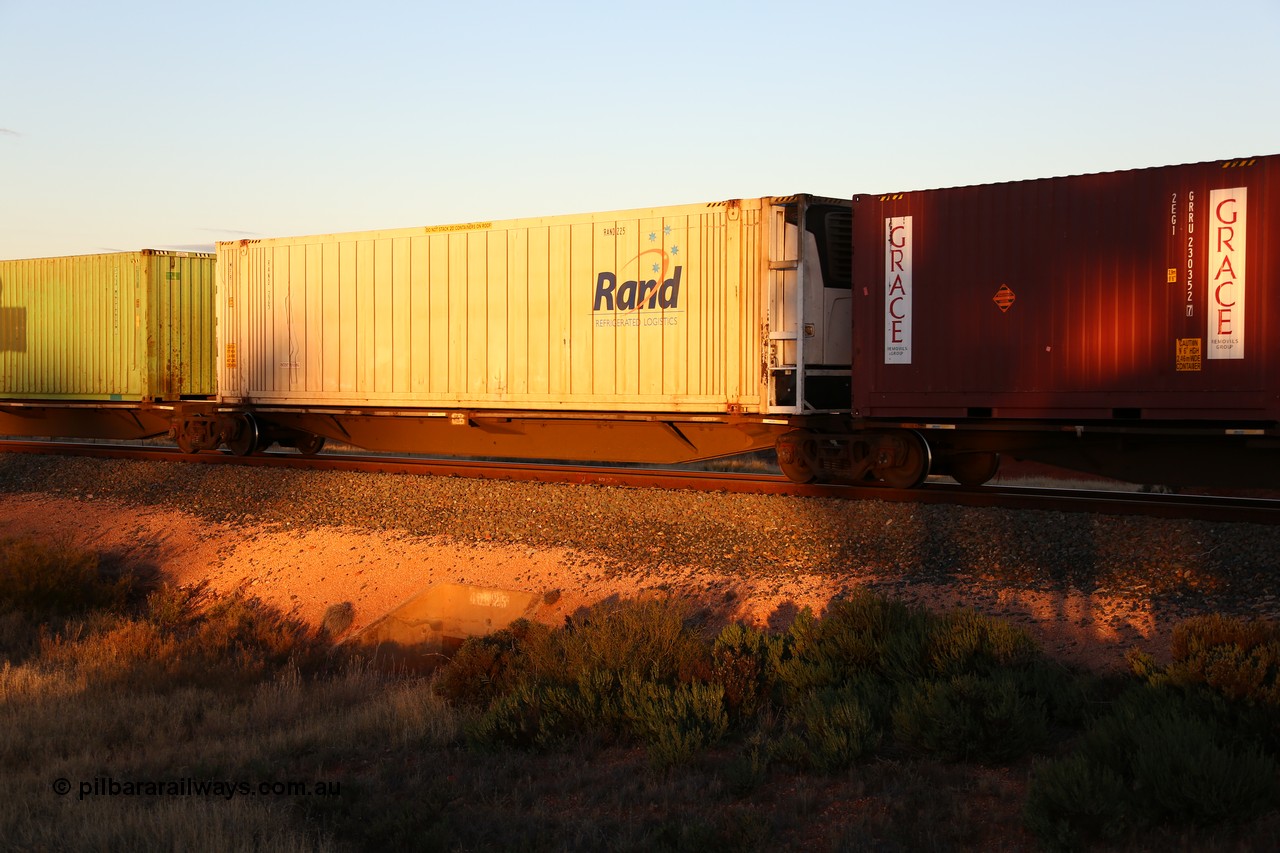 160601 10133
West Kalgoorlie, 2MP5 intermodal train, RRGY 7133 48' platform 2 of 5-pack articulated skel waggon, one of fifty built by AN Rail Islington Workshops in 1996-97 as type RRBY, later rebuilt with 48' intermediate decks and coded RRGY, with 46' RAND Refrigerated Logistics reefer RAND 225.
Keywords: RRGY-type;RRGY7133;AN-Islington-WS;RRBY-type;