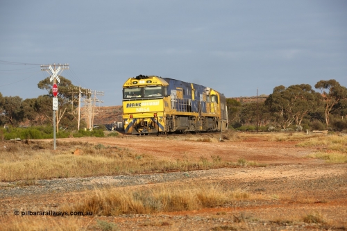 160525 4434
Parkeston, 3PM7 priority service train downgrade over the hill behind Goninan built GE model Cv40-9i NR class units NR 64 serial 7250-11/96-266 and NR 11 serial 7250-02/97-213.
Keywords: NR-class;NR64;Goninan;GE;Cv40-9i;7250-11/96-266;