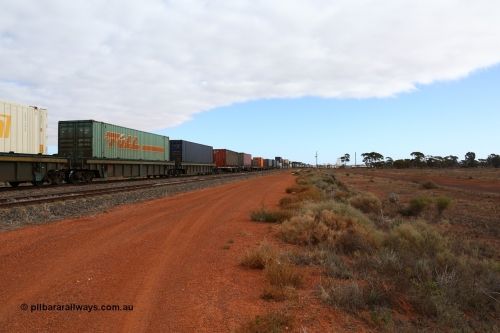 160529 8809
Parkeston, 6MP4 intermodal train, view looking towards the front from RRXY 8 5-pack well waggon set, one of eleven built by Bradken Qld in 2002 for Toll from a Williams-Worley.
Keywords: RRXY-type;RRXY8;Williams-Worley;Bradken-Rail-Qld;
