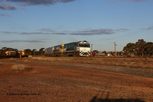 160529 9077
Parkeston, 7MP7 priority service train powers around the curve as it climbs the grade to Kalgoorlie behind a pair of Goninan built GE model Cv40-9i NR class units NR 84 serial 7250-04/97-286 and NR 80 serial 7250-03/97-282. NR 84 wears the Southern Spirit livery and is known as the Minty. Off to the left is Loongana Lime shunt loco DE 49, a former BHP 37 class unit built by Goninan in 1961 based on GE 80 ton switcher, serial 4970-013.
Keywords: NR-class;NR84;NR80;Goninan;GE;Cv40-9i;7250-04/97-286;7250-03/97-282;