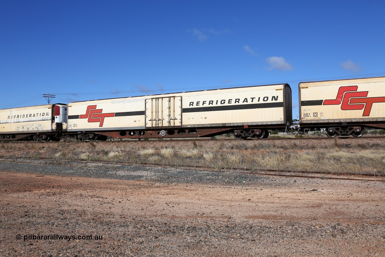 160522 2261
Parkeston, SCT train 6MP9 operating from Melbourne to Perth, ARFY type ARFY 2198 refrigerated van with a Ballarat built Maxi-CUBE body mounted on an original Commonwealth Railways ROX container waggon built by Comeng Qld in 1970, recoded to AQOX, AQOY and RQOY before having the Maxi-CUBE refrigerated body added circa 1998 for SCT service.
Keywords: ARFY-type;ARFY2198;Maxi-Cube;Comeng-Qld;ROX-type;AQOX-type;