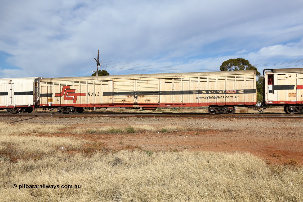160523 2918
Parkeston, SCT train 7GP1 which operates from Parkes NSW (Goobang Junction) to Perth, ABSY type covered van ABSY 2477 originally built for former ANR by Mechanical Handling Ltd SA in 1972 as VFX type covered van which were recoded to ABFX in later years and recoded to ABFY for SCT.
Keywords: ABSY-type;ABSY2477;Mechanical-Handling-Ltd-SA;VFX-type;ABFY-type;