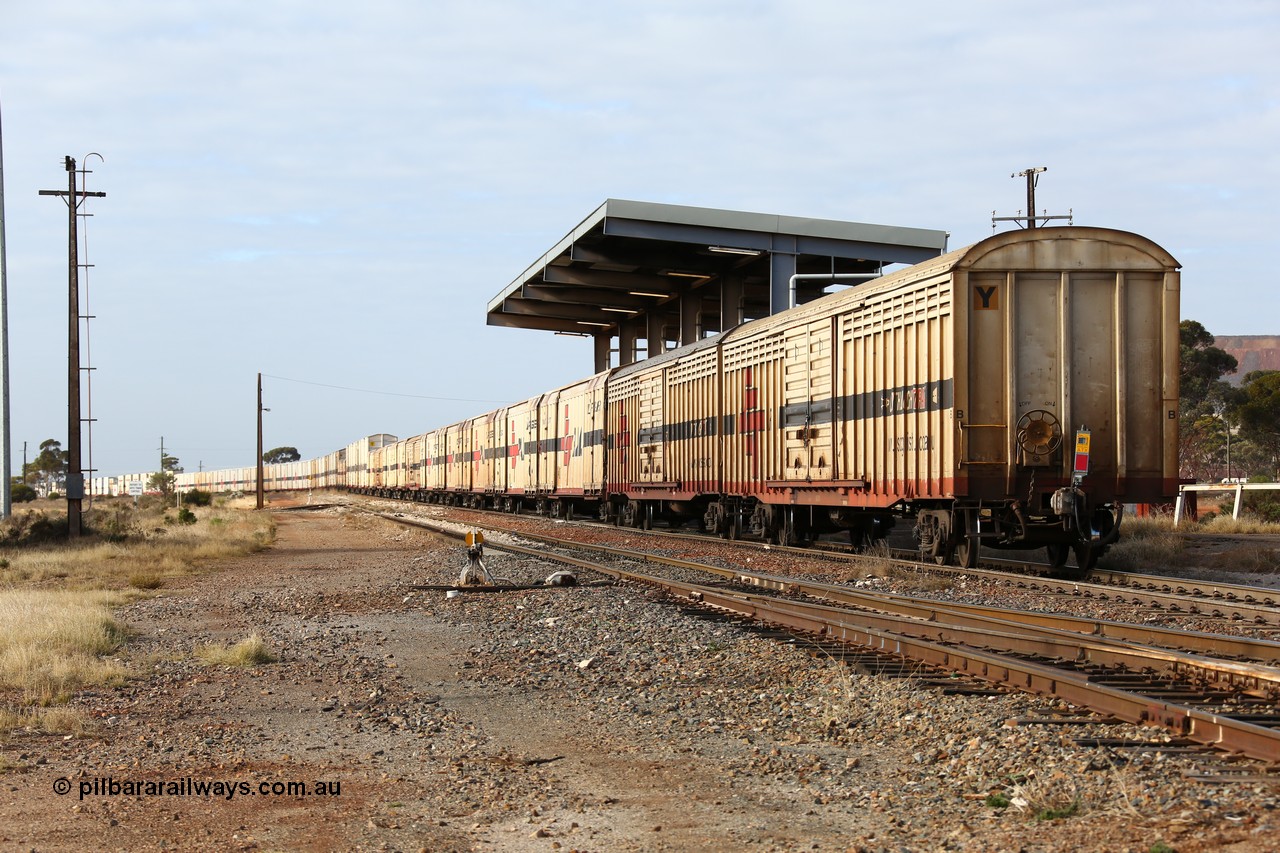 160525 4629
Parkeston, SCT train 3PG1 which operates from Perth to Parkes NSW (Goobang Junction), looking east from the rear with ABSY type ABSY 3089 covered van, originally built by Comeng WA in 1977 for Commonwealth Railways as VFX type, recoded to ABFX and ABFY before conversion by Gemco WA to ABSY.
Keywords: ABSY-type;ABSY3089;Comeng-WA;VFX-type;ABFY-type;