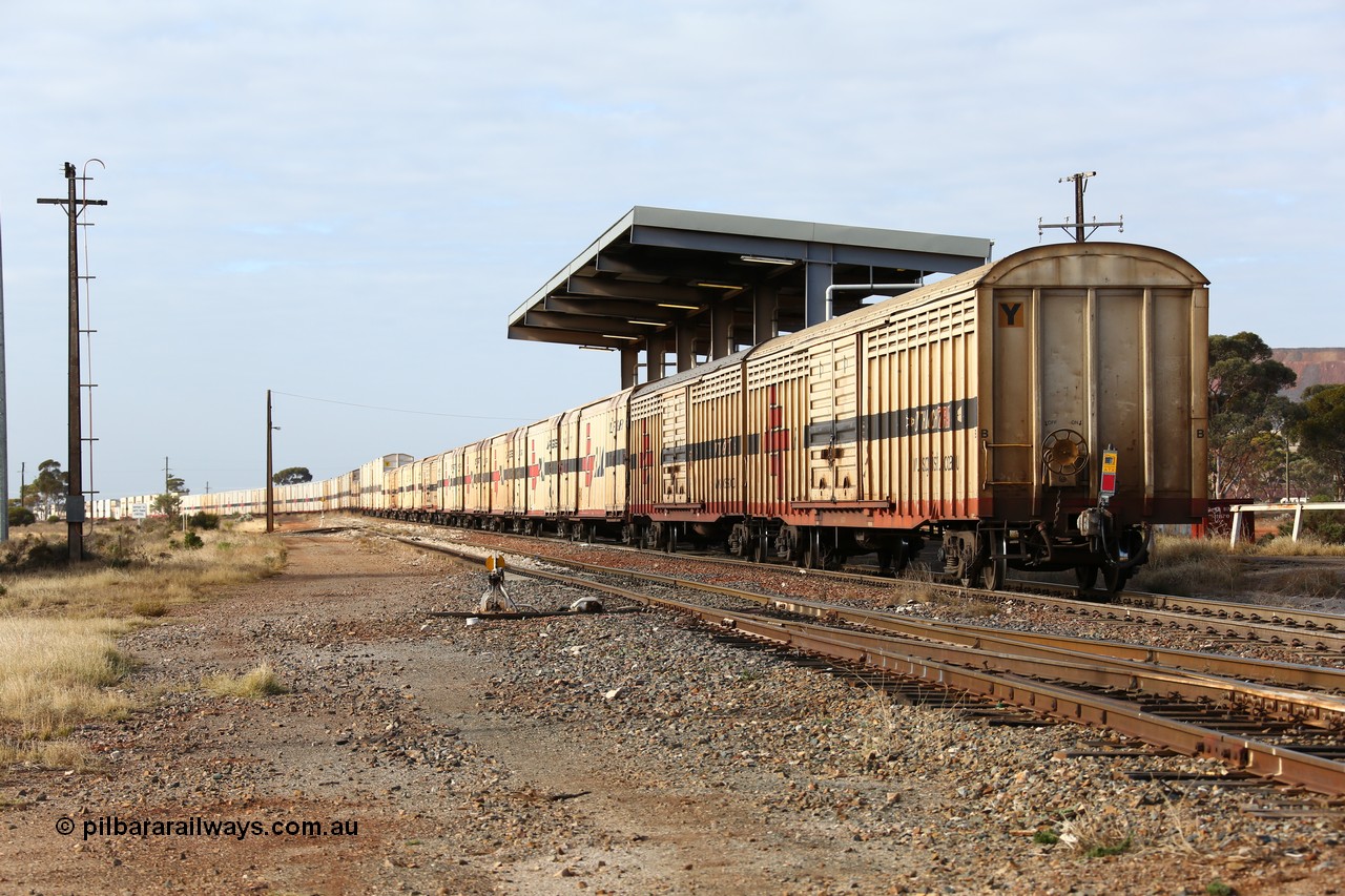 160525 4630
Parkeston, SCT train 3PG1 which operates from Perth to Parkes NSW (Goobang Junction), looking east from the rear with ABSY type ABSY 3089 covered van, originally built by Comeng WA in 1977 for Commonwealth Railways as VFX type, recoded to ABFX and ABFY before conversion by Gemco WA to ABSY.
Keywords: ABSY-type;ABSY3089;Comeng-WA;VFX-type;ABFY-type;