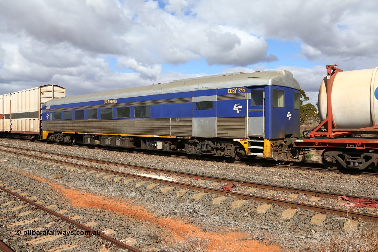 160529 8874
Parkeston, SCT train 6MP9 operating from Melbourne to Perth, CFCLA leased crew accommodation coach CDBY type CDBY 255 'Curlew', originally built by SAR Islington Workshops in 1956 as a Bluebird railcar 'Curlew', later numbered 802 in National Rail service, then to CDBY 255 when converted to crew coach in 2007.
Keywords: CDBY-class;CDBY255;SAR-Islington-WS;Bluebird;250-class;