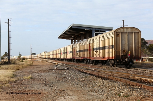 160525 4629
Parkeston, SCT train 3PG1 which operates from Perth to Parkes NSW (Goobang Junction), looking east from the rear with ABSY type ABSY 3089 covered van, originally built by Comeng WA in 1977 for Commonwealth Railways as VFX type, recoded to ABFX and ABFY before conversion by Gemco WA to ABSY.
Keywords: ABSY-type;ABSY3089;Comeng-WA;VFX-type;ABFY-type;