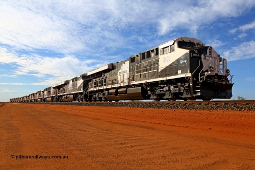 150412 7926r
Boodarie, just north of the Flash Butt Yard, Roy Hill's impressive General Electric built ES44ACi locomotives lined up on the mainline lead by class leader RHA 1001 'Ginny' serial 62573, followed by RHA 1002 'Ginbata', then RHA 1004, RHA 1003, RHA 1008, RHA 1007, RHA 1006, RHA 1005, RHA 1014, RHA 1009, RHA 1010, RHA 1011, RHA 1012 and RHA 1013, looking towards the port. 12th April 2015. [url=https://goo.gl/maps/uxz39]View map here[/url].
Keywords: RHA-class;RHA1001;GE;ES44ACi;62573;